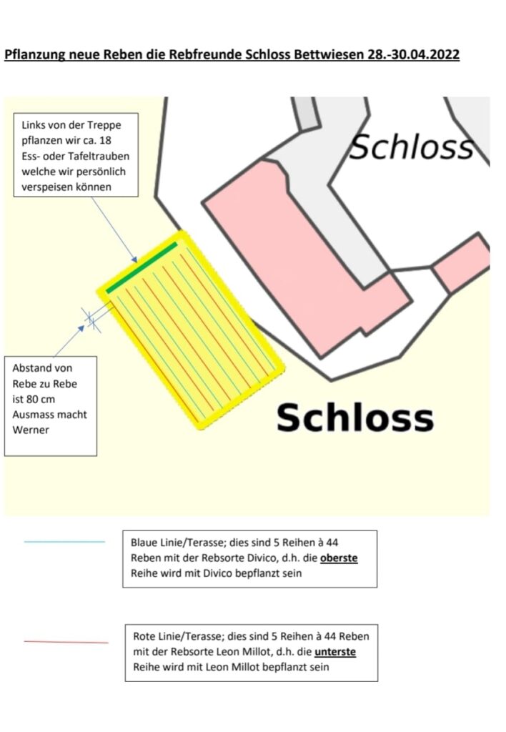 Setzplan der Reben